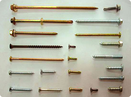 Self Tapping Screw